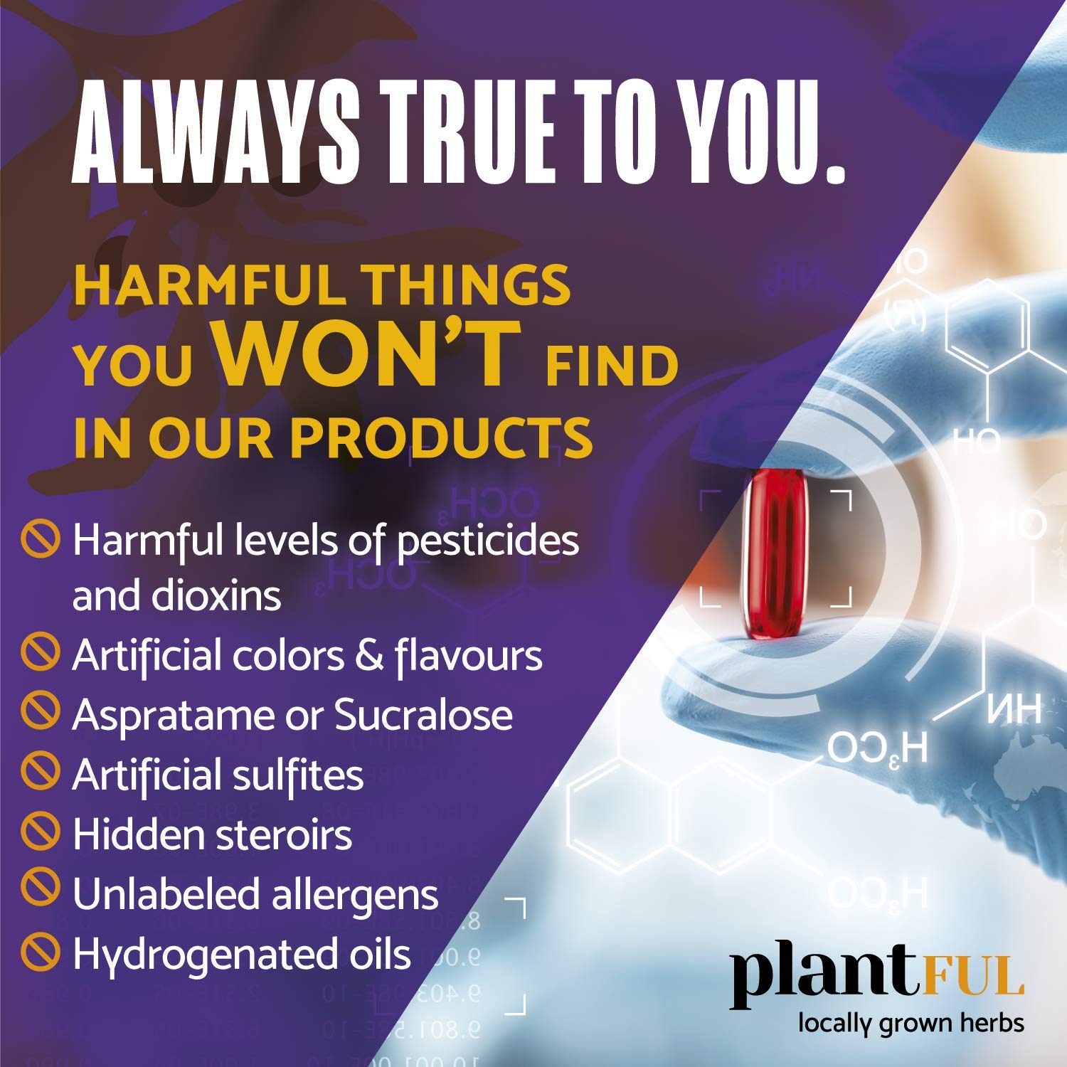 Huperzine-A and other active ingredients in the supplement