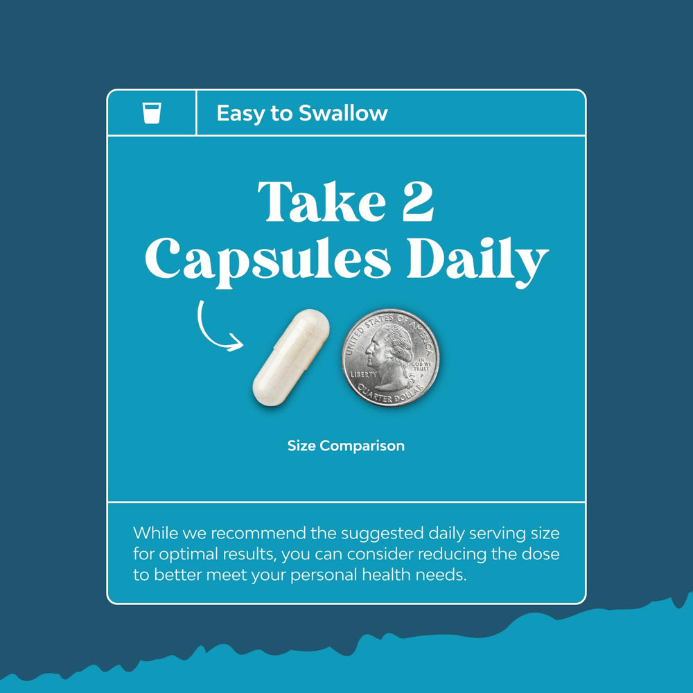 Huperzine A, DMAE and Bacopa monnieri highlights