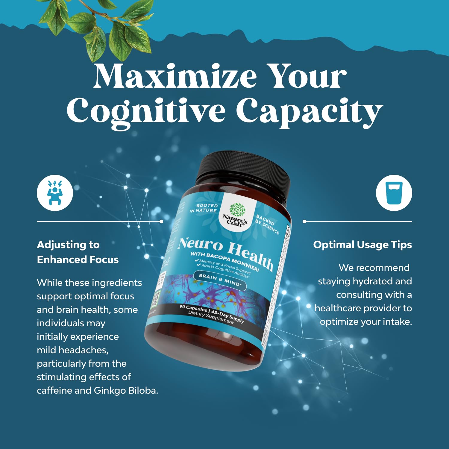 Capsules containing phosphatidylserine, DMAE, DHA
