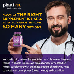 St John's Wort herb illustrated in the formula