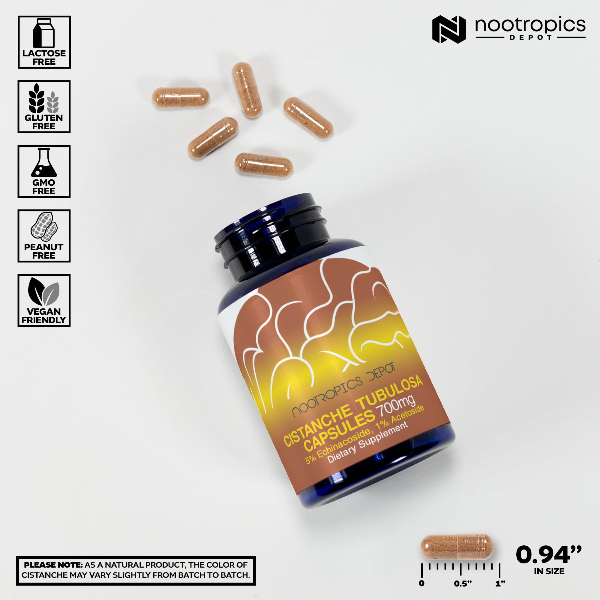 Nootropics Depot Cistanche capsules in hand ready for daily focus and endurance