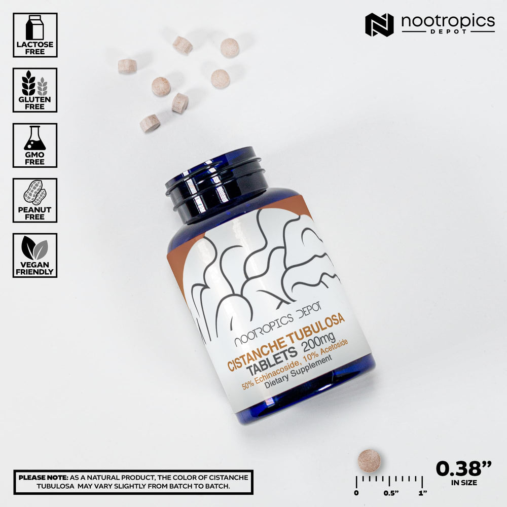 Nootropics Depot Cistanche Tubulosa tablets energy-boost scene suggests sustained daily vitality.