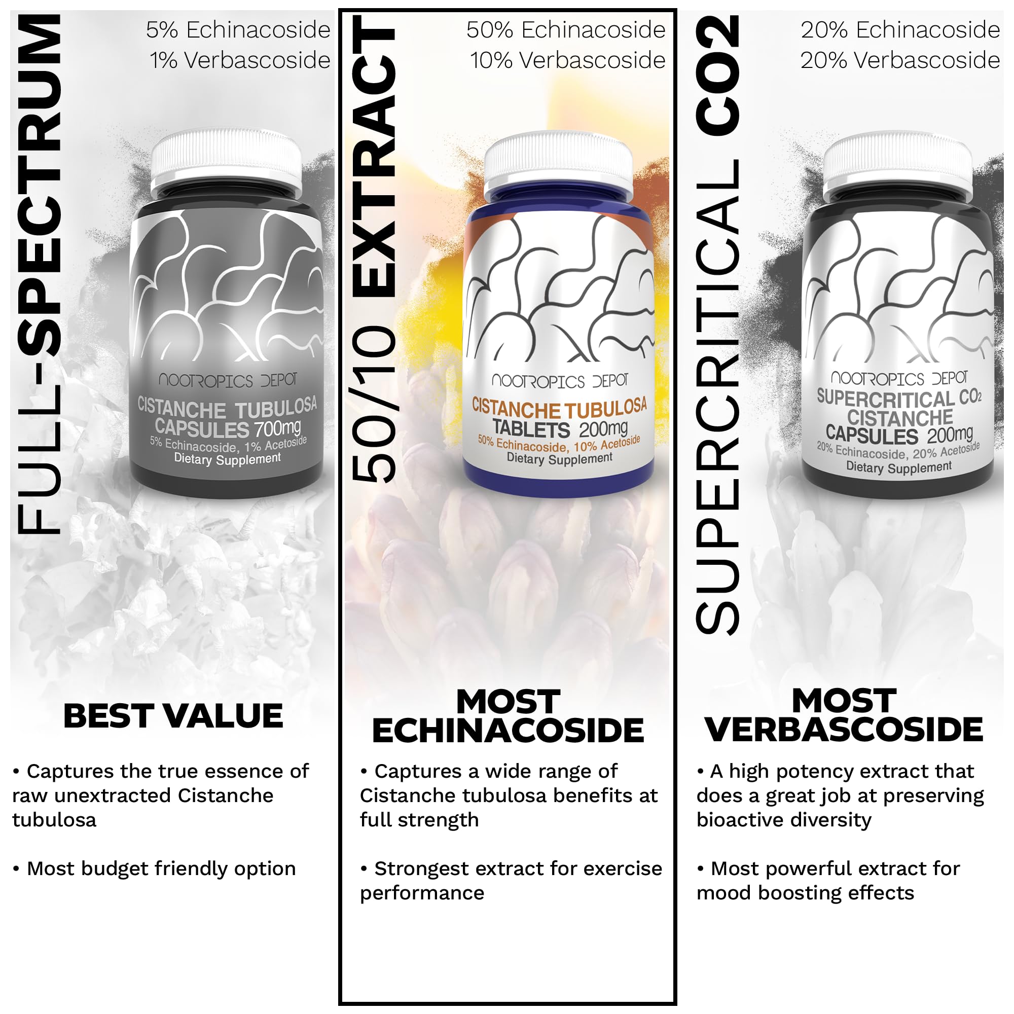 Nootropics Depot Cistanche Tubulosa tablets nootropic benefits for focus and cognitive clarity.