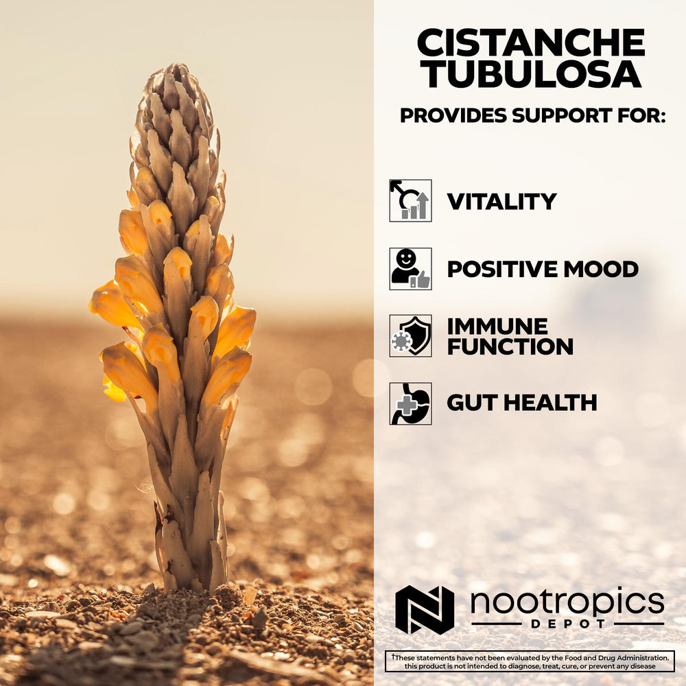 Nootropics Depot Cistanche Tubulosa tablets strength-endurance scene supports workouts.