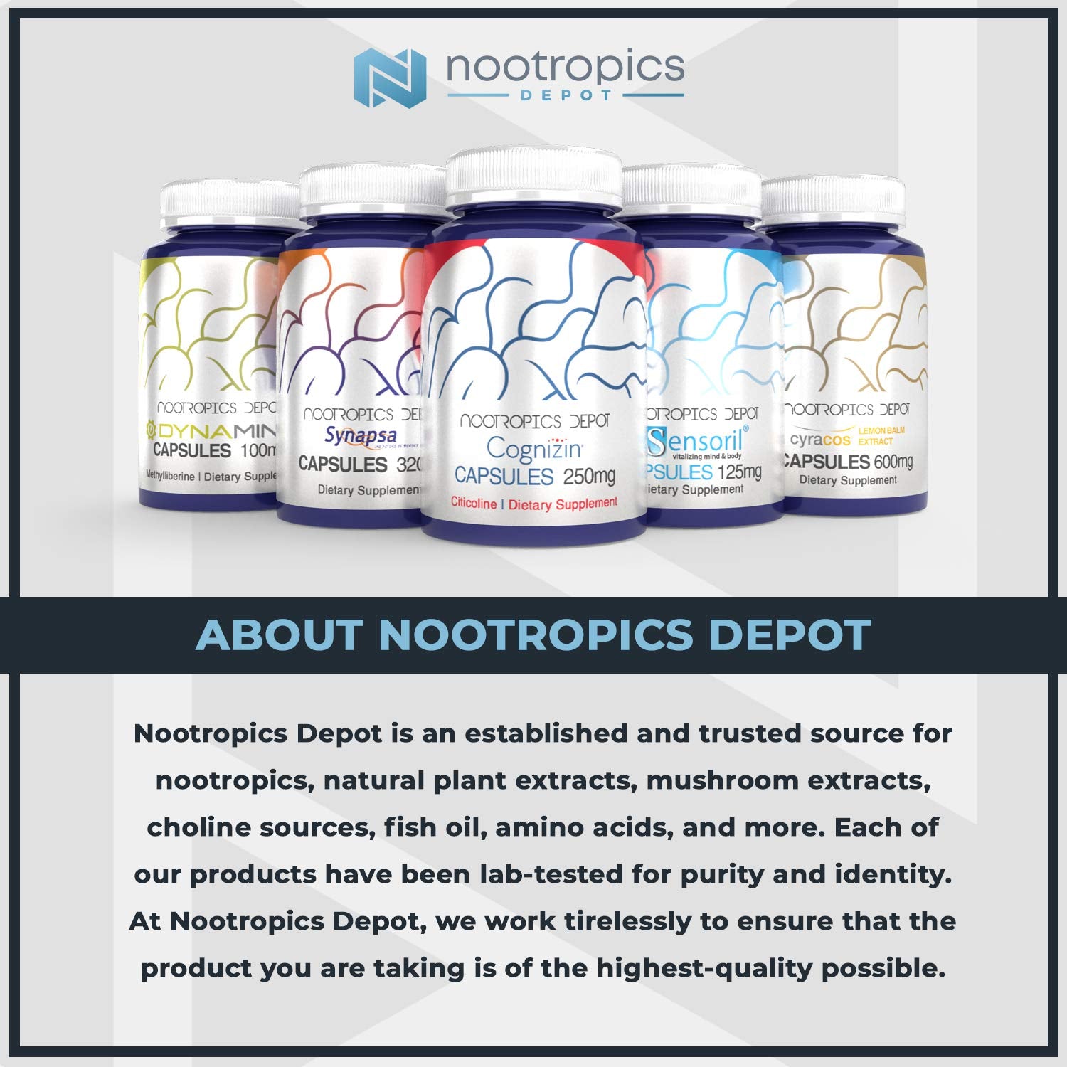 Package of Nootropics Depot Curcumin + Piperine 180-count capsules