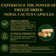 Nopales nutrition highlights: fiber and phytonutrients
