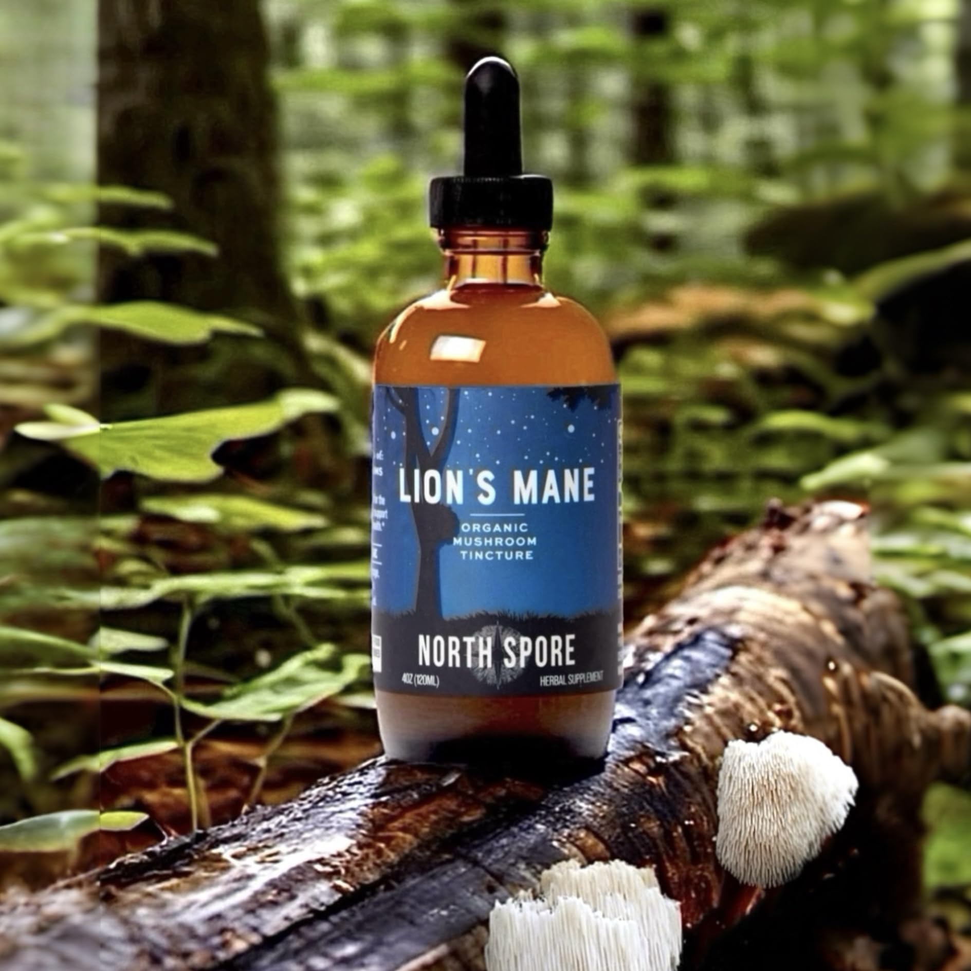 Third-party testing certificate for Lion's Mane tincture