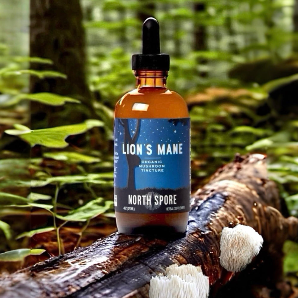 Third-party testing certificate for Lion's Mane tincture