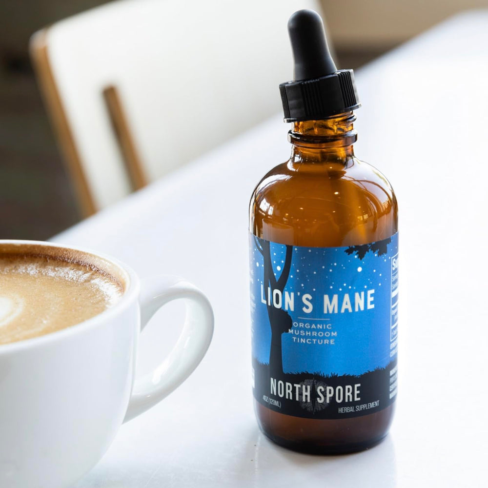 Ingredients panel and extraction details for Lion's Mane tincture