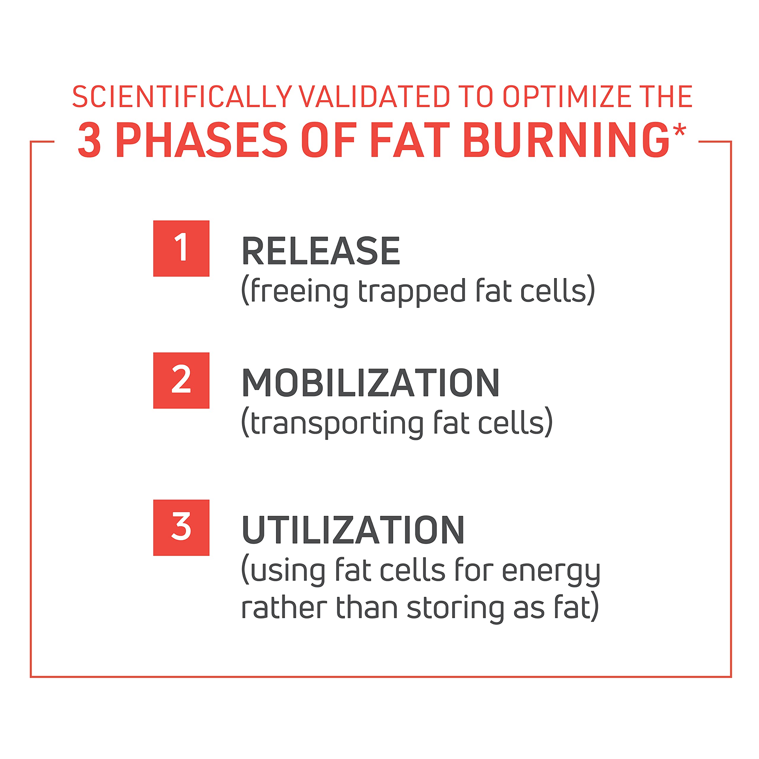 ThermoDyne packaging box and bottle on white background