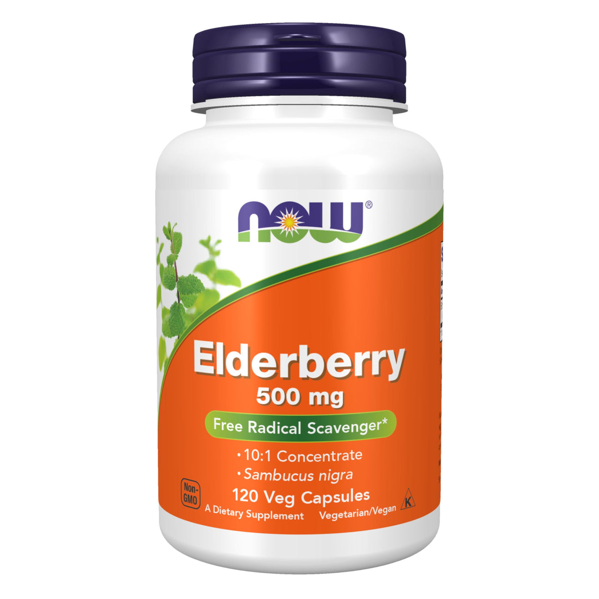 NOW Foods Elderberry 500 mg 10:1 Concentrate bottle label