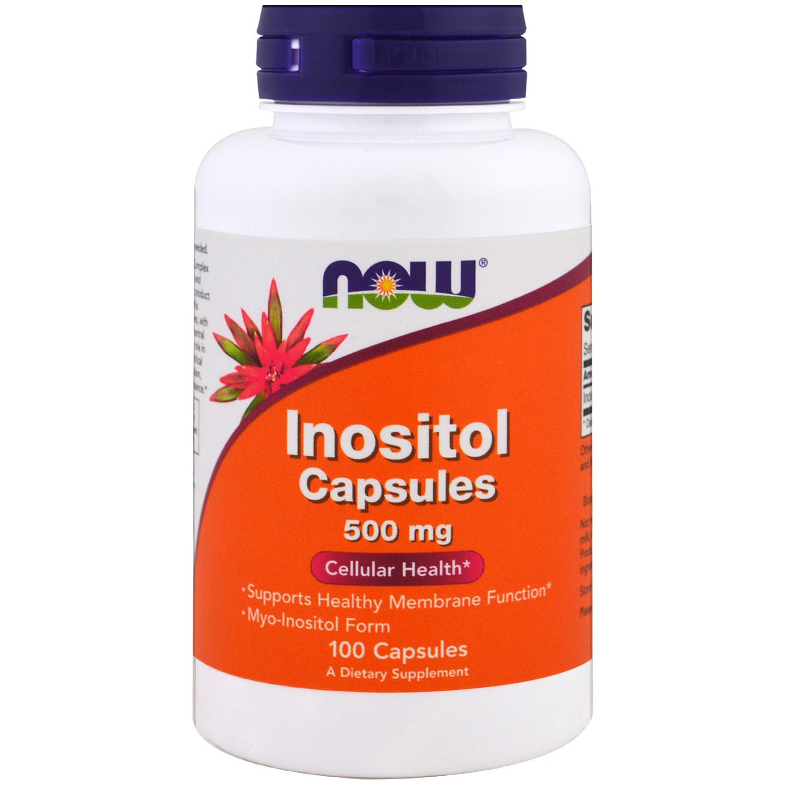Supplement facts label for NOW Foods Inositol 500mg