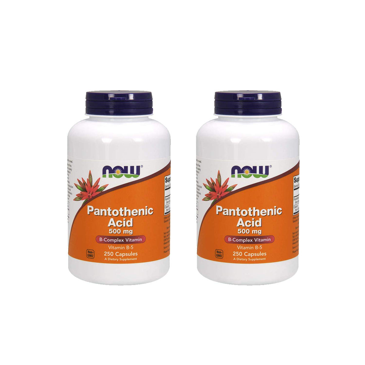 Now Foods Pantothenic Acid 500 mg bottle label