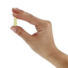 Nutrition facts and ingredients for Now Foods Rutin 450 mg