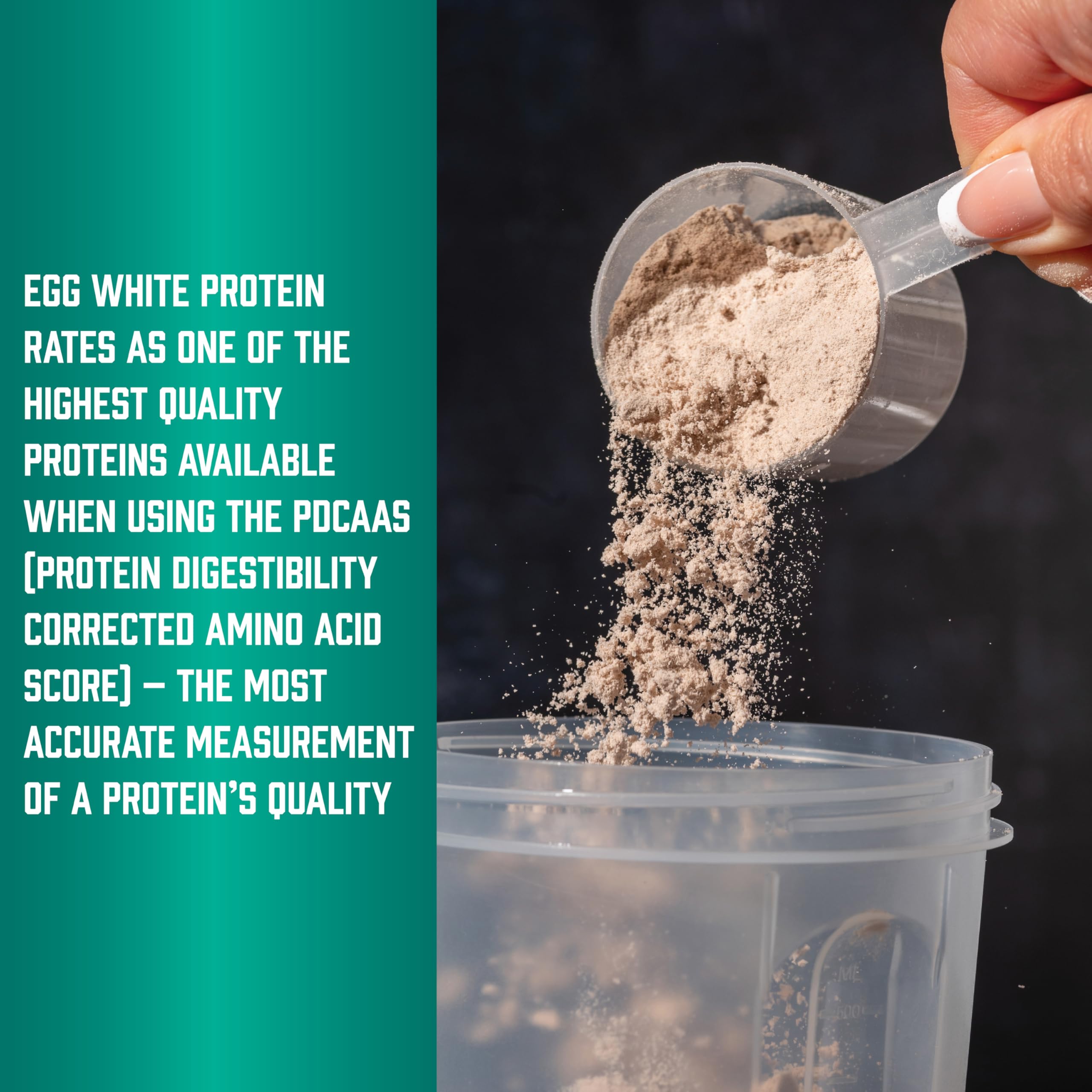 Made in USA NOW Sports Egg White Protein packaging