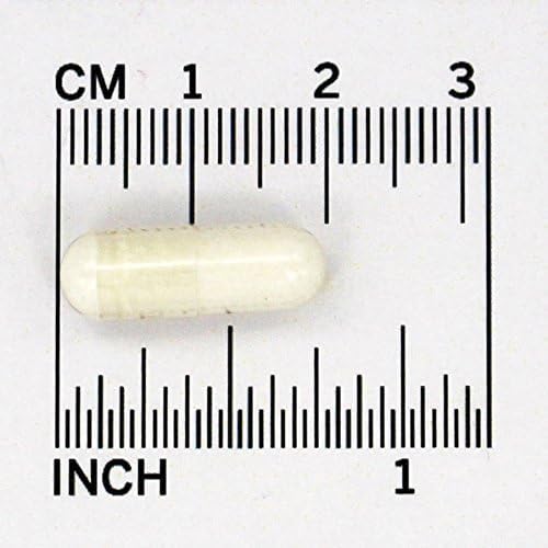 Vegetarian capsule zinc supplement