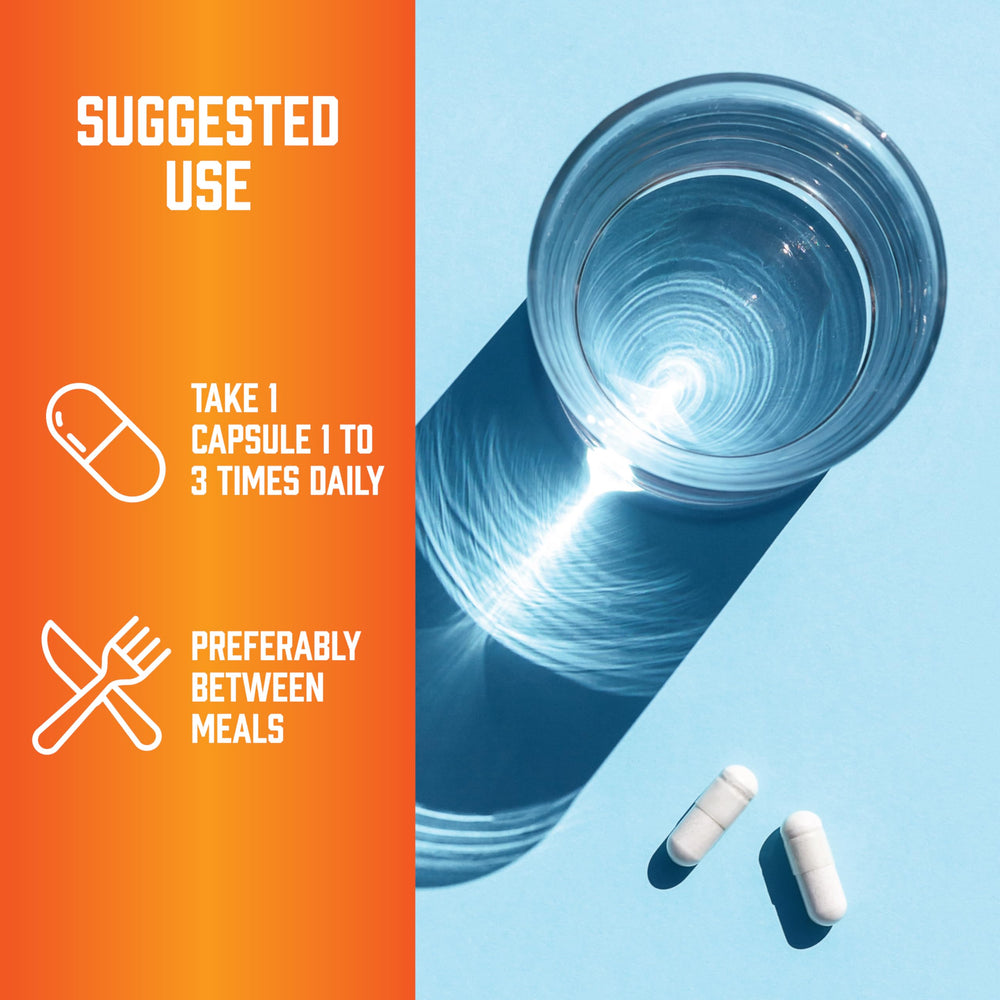 Vegetarian capsule filled with L-Glutamine