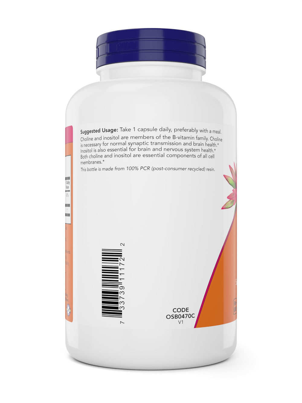 Made in USA with quality testing for NOW Choline & Inositol