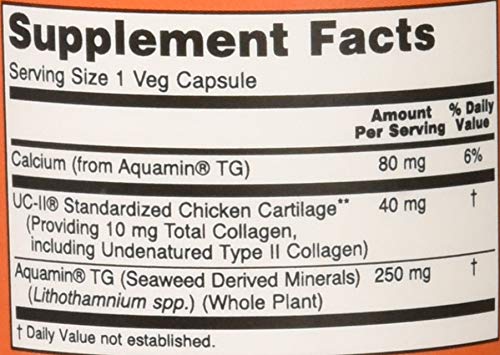 Joint health benefits of UC-II Type II Collagen