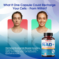 Nicotinamide Riboside with Resveratrol, Quercetin, Bilberry and Green Tea ingredients