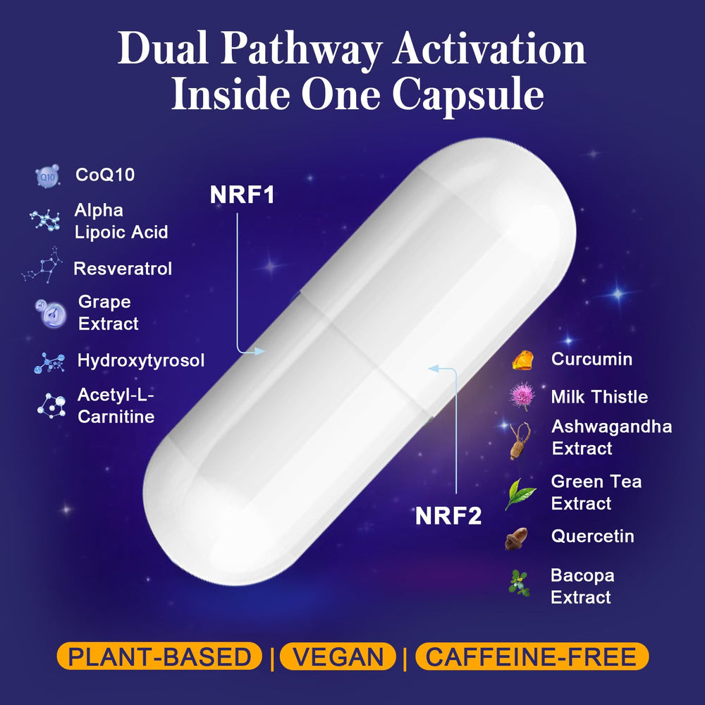 Concept image of mitochondrial health and cellular energy