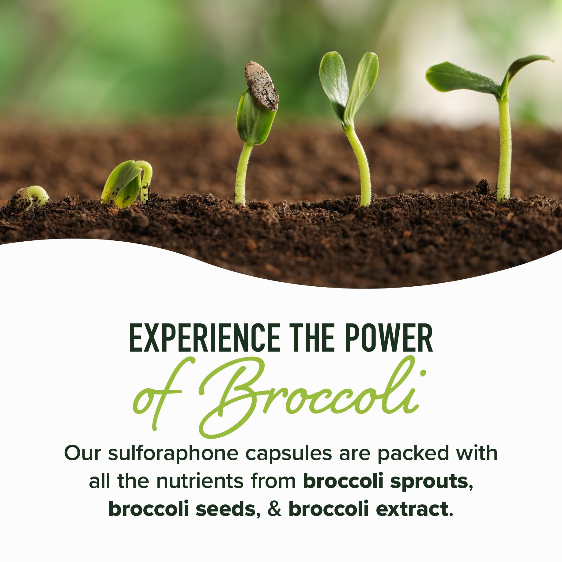 NRF2 activation infographic highlighting cellular health benefits