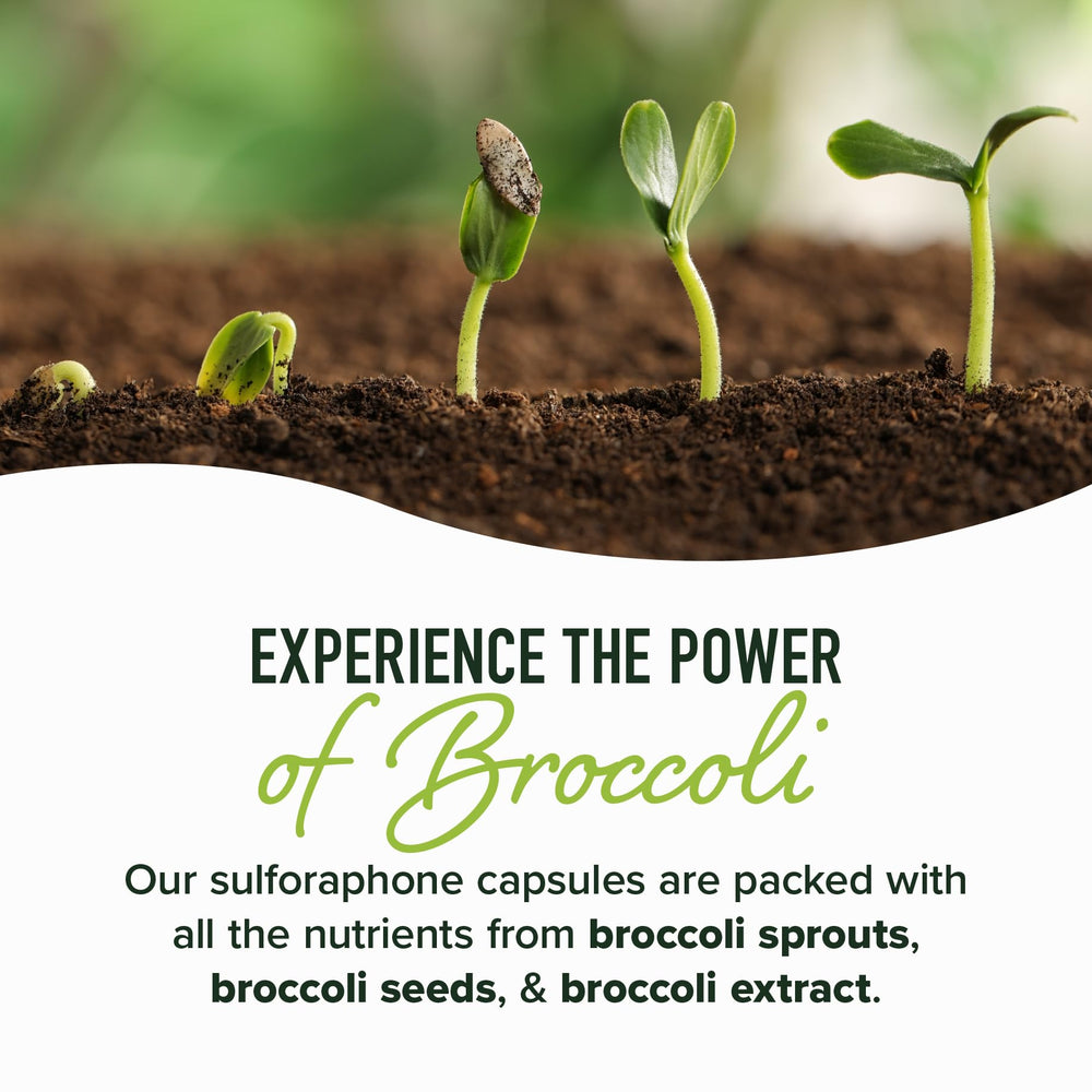 NRF2 activation infographic highlighting cellular health benefits