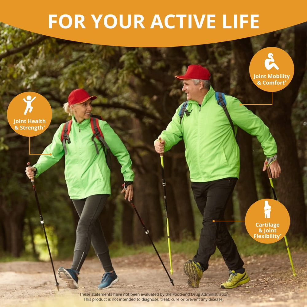 Ingredients overview for NuBest Joint Xtra: Glucosamine, Chondroitin, MSM, Collagen, Turmeric, Boswellia