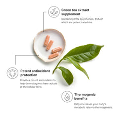 Premium green tea leaves beside Nu Skin Pharmanex Tēgreen 97 bottle