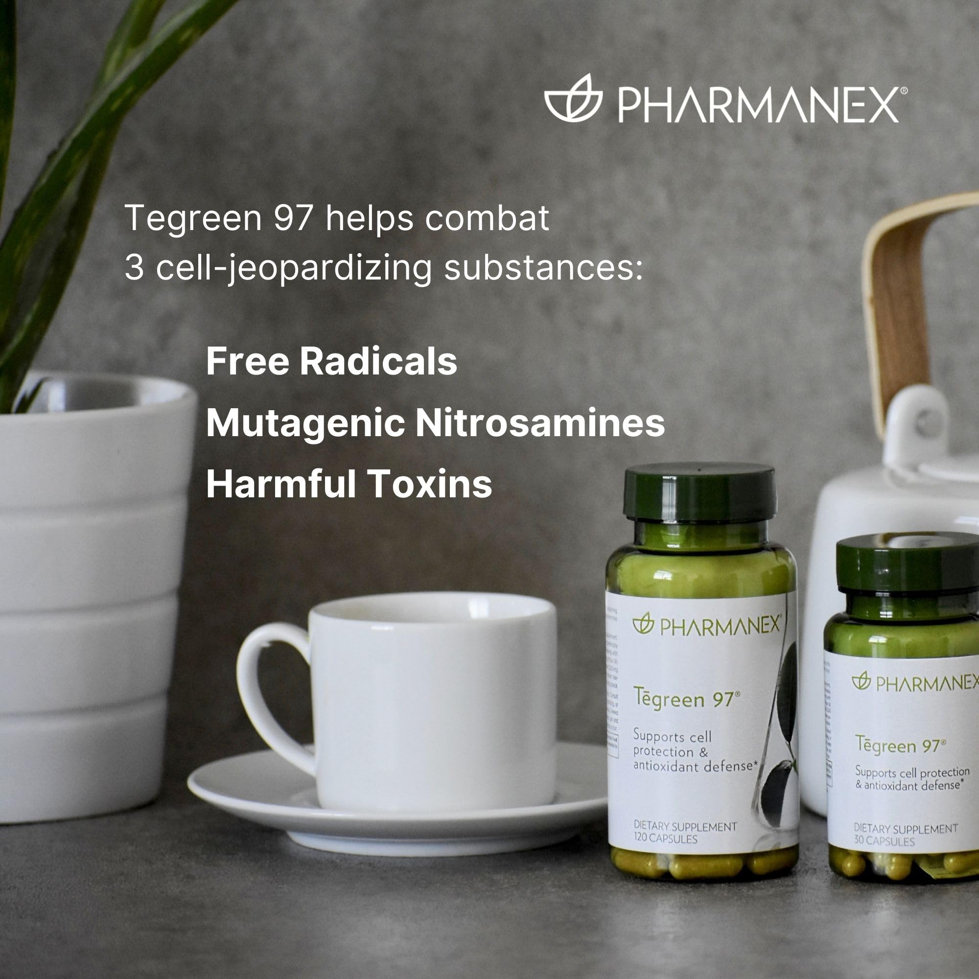 Graphic showing 97% polyphenols and 65% catechins in Tēgreen 97