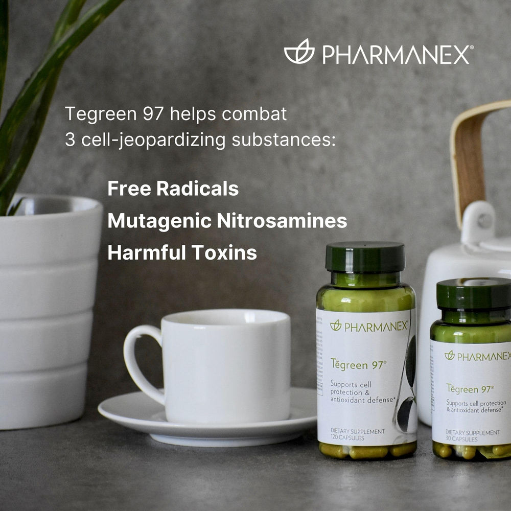 Graphic showing 97% polyphenols and 65% catechins in Tēgreen 97