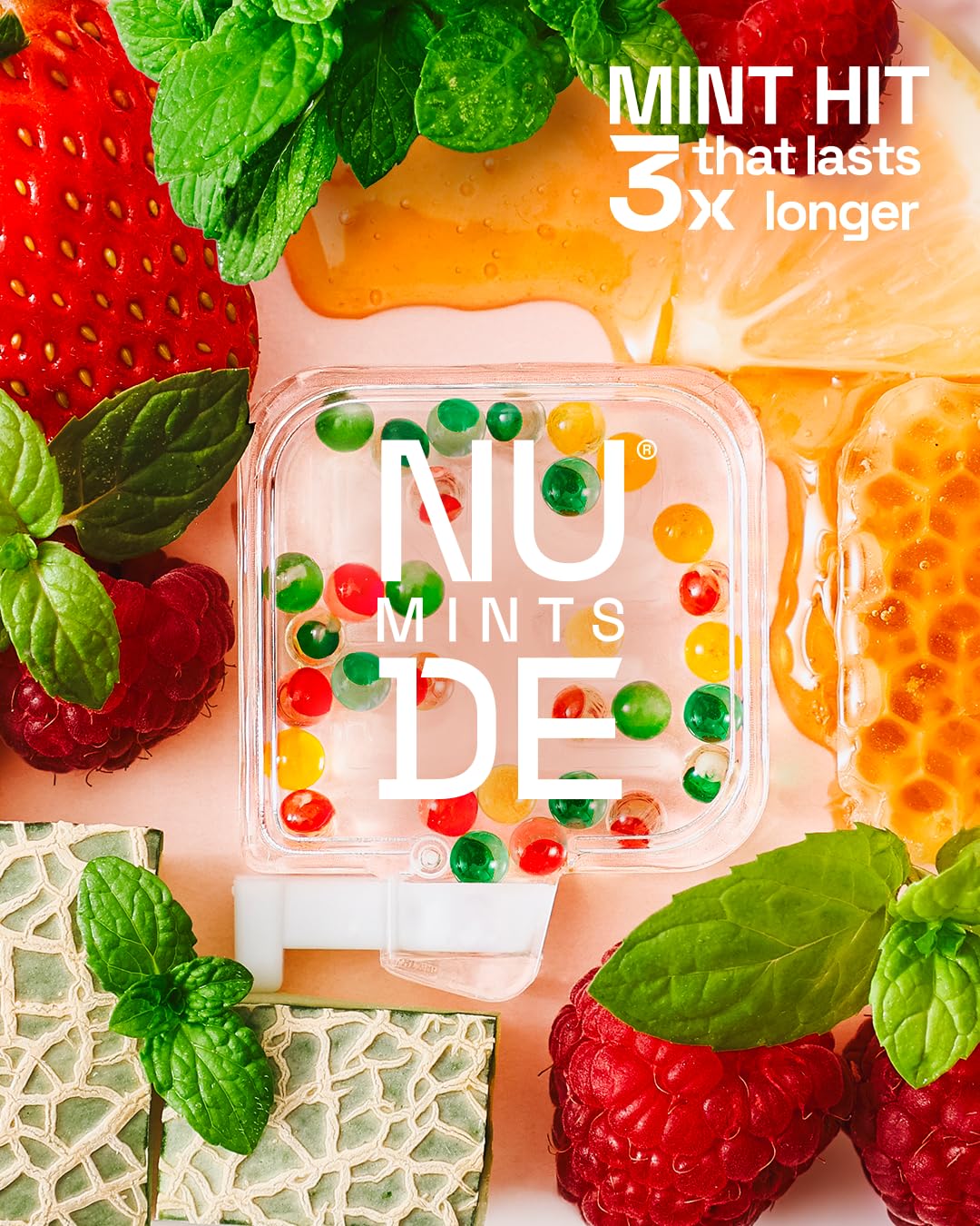 NUDE MINTS stylish on-the-go case