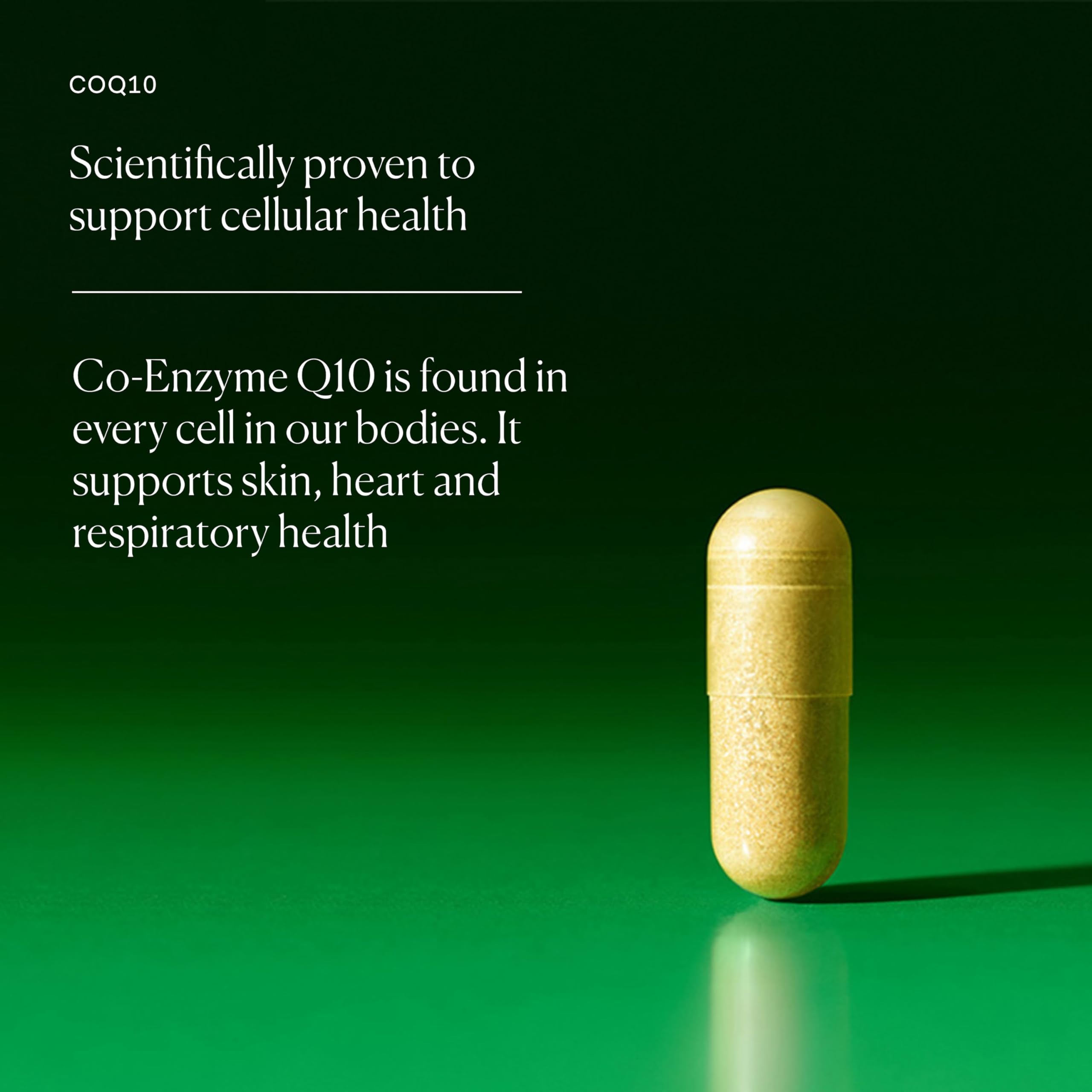 Flat lay with COQ10 bottle and wellness accessories