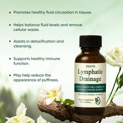 Close-up of organic herbs: dandelion root, astragalus, red clover