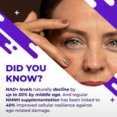 Close-up of NMNH capsules