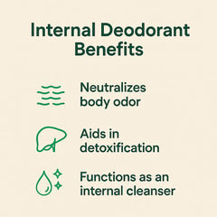 Illustration showing Nuray ingredients and chlorophyll benefits