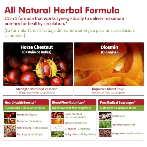 Nurbetoxa arginine nitric oxide support illustration shows rapid absorption and circulation.