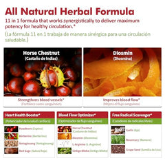 Nurbetoxa arginine nitric oxide support illustration shows rapid absorption and circulation.