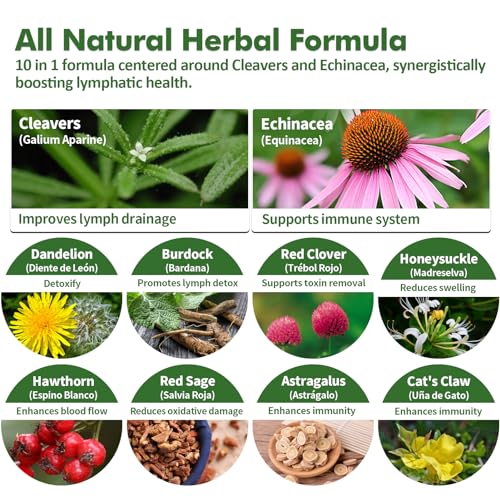 Nurbetoxa packaging box featuring Cleavers and Echinacea for herbal support.