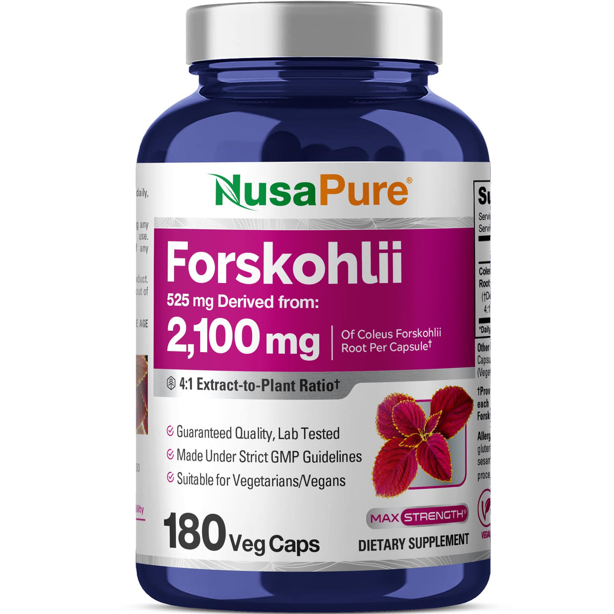 NusaPure Forskohlii 4:1 extract bottle with 180 veggie capsules