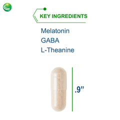 Illustration of melatonin and herbal sleep ingredients