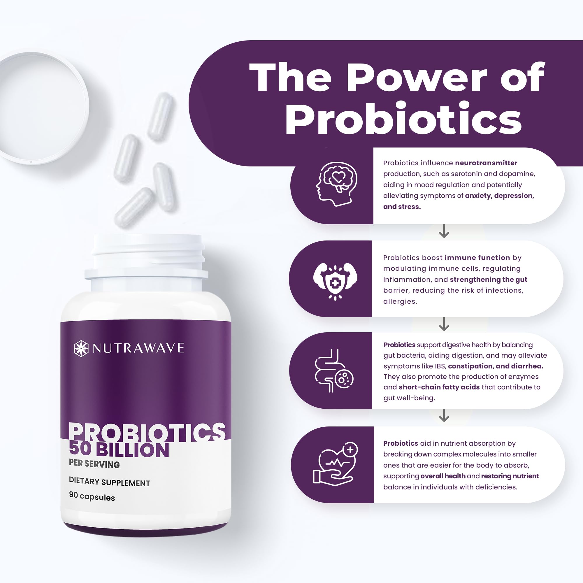 Graphic illustrating gut health and digestive support