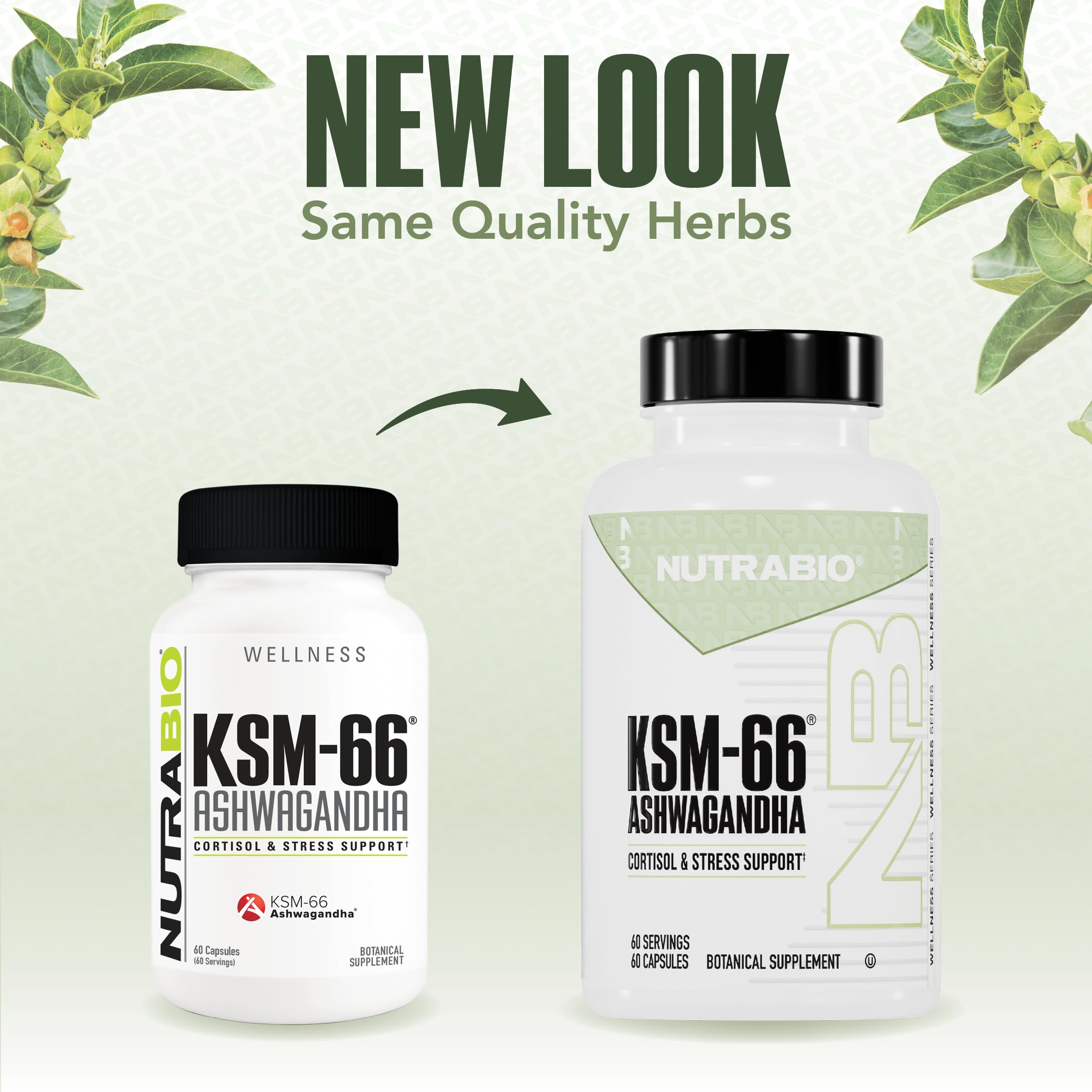 Front view of NutraBio Ashwagandha KSM-66 bottle