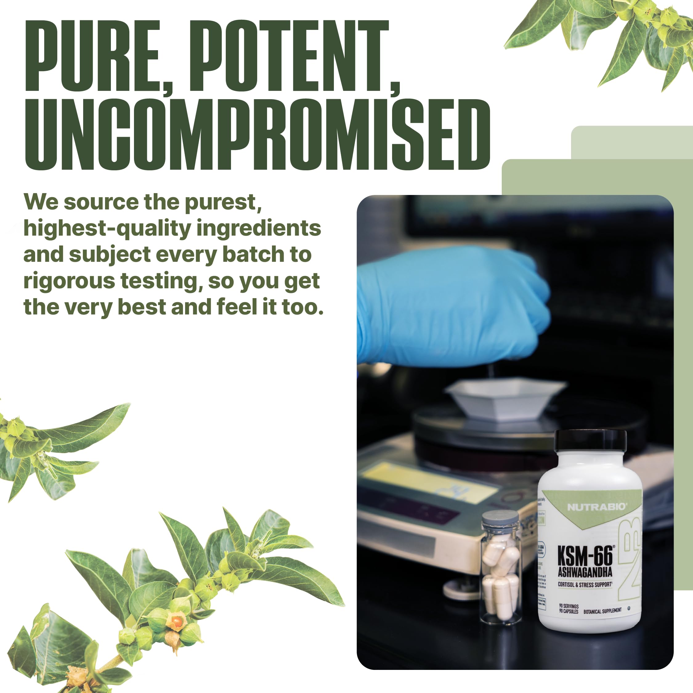 Box packaging and bottle of NutraBio Ashwagandha