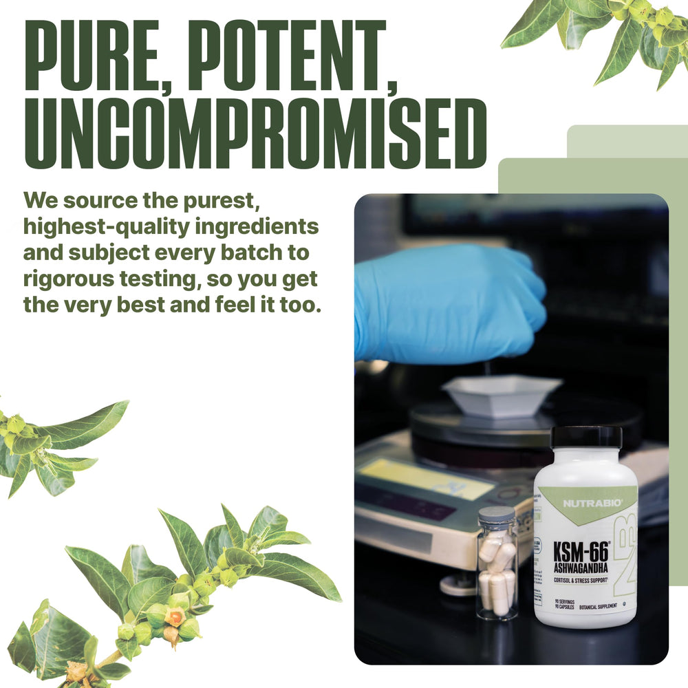 Box packaging and bottle of NutraBio Ashwagandha