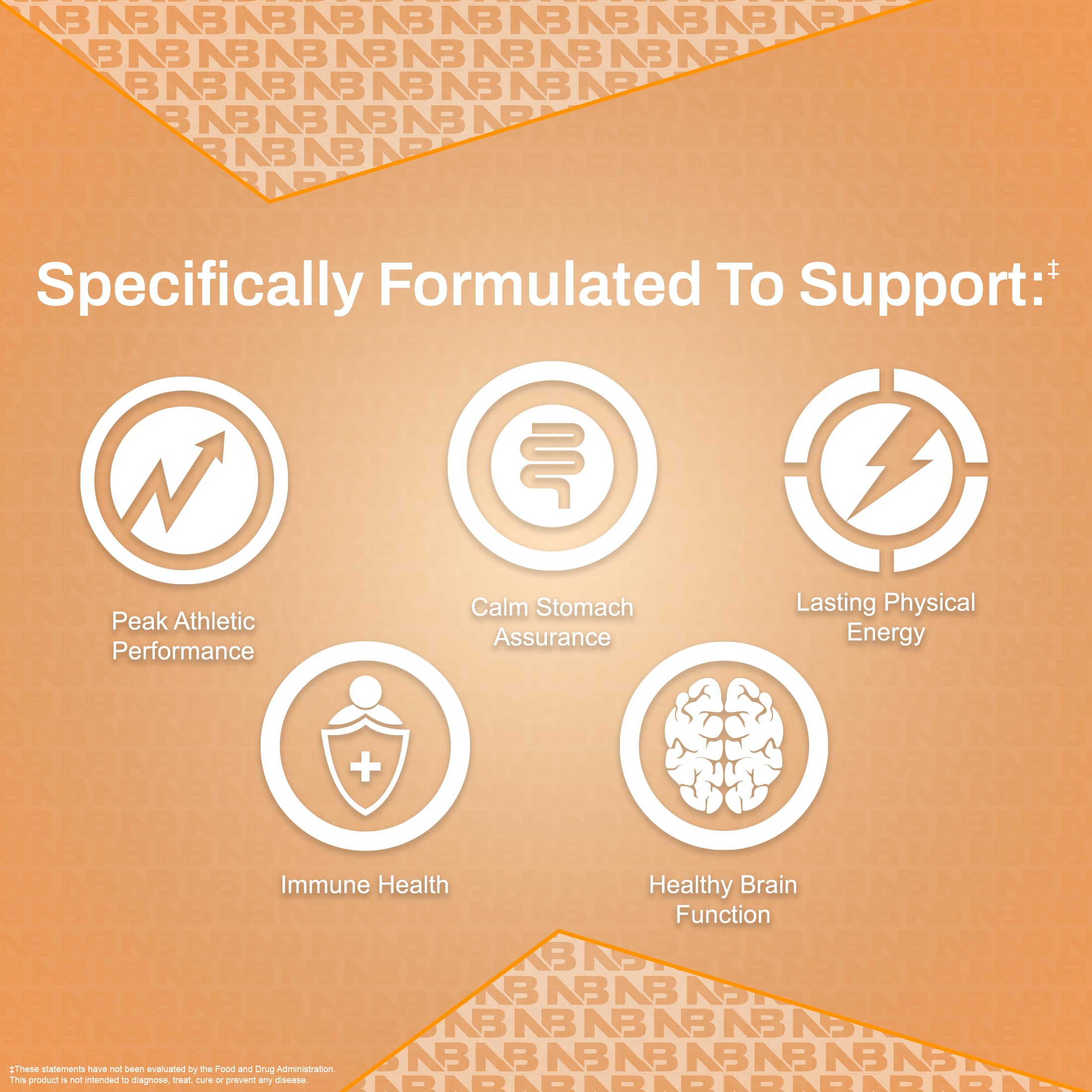 Close-up of ingredient list for NutraBio Multisport for Men