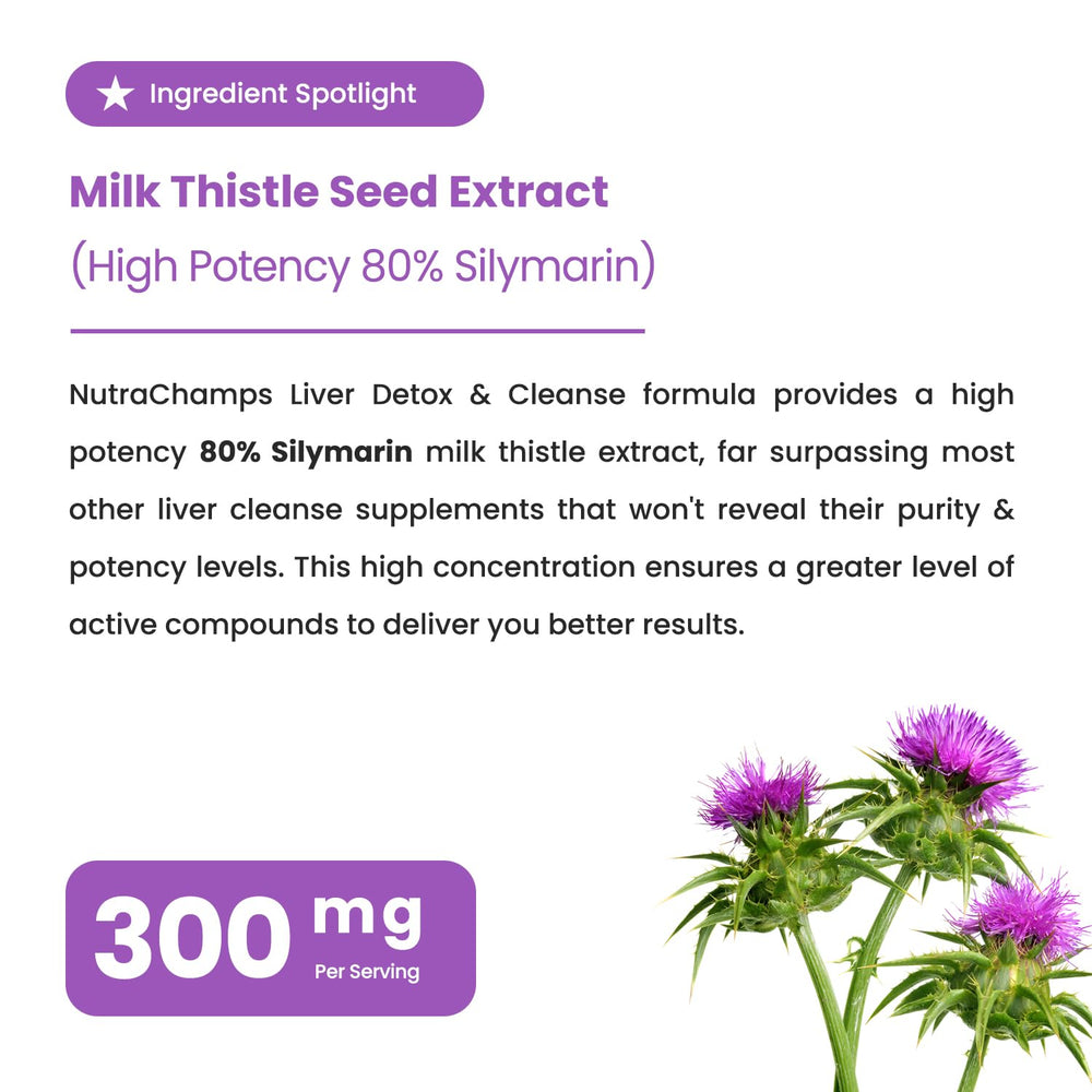 Milk thistle extract with silymarin illustration