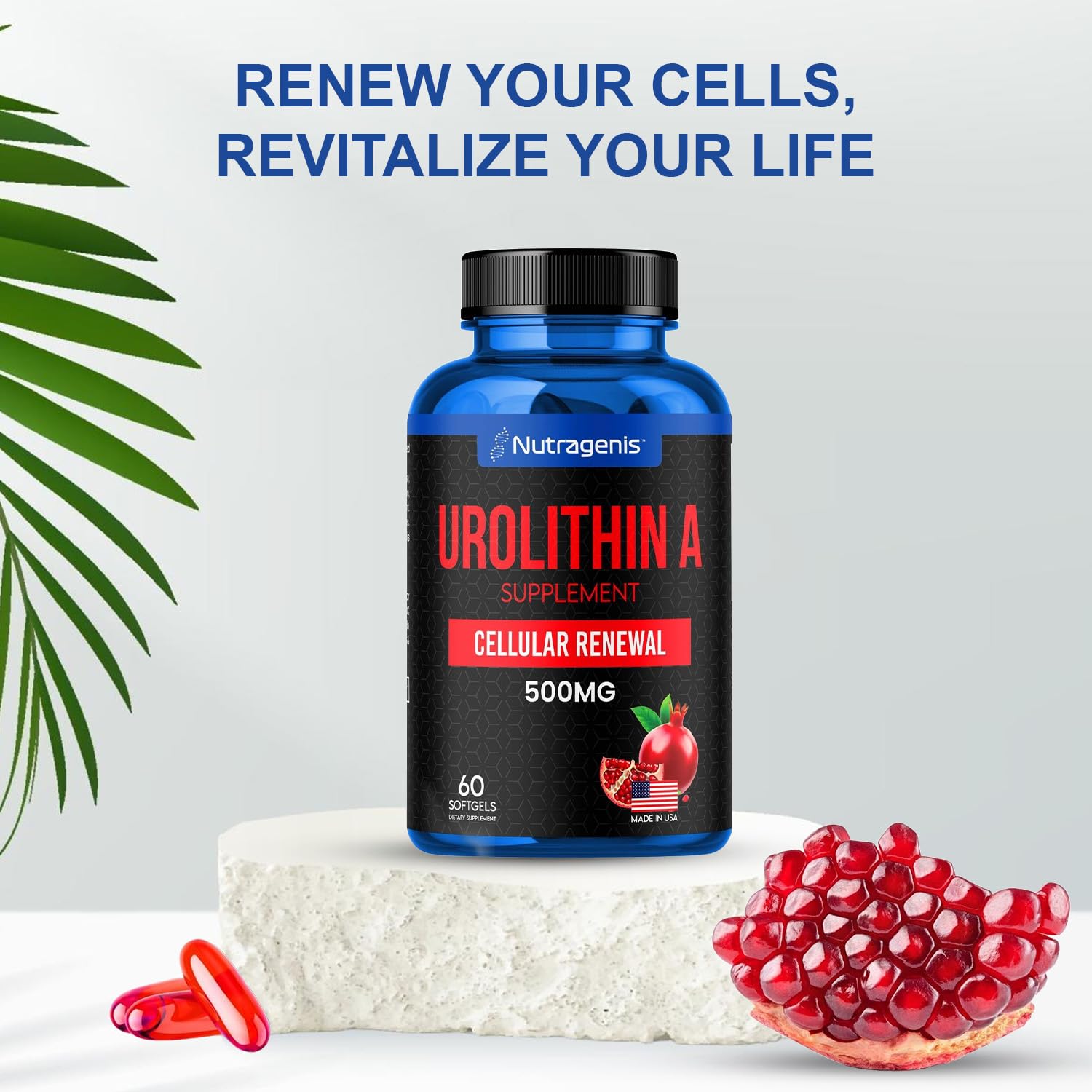 Globally sourced ingredients concept for Nutragenis Urolithin A