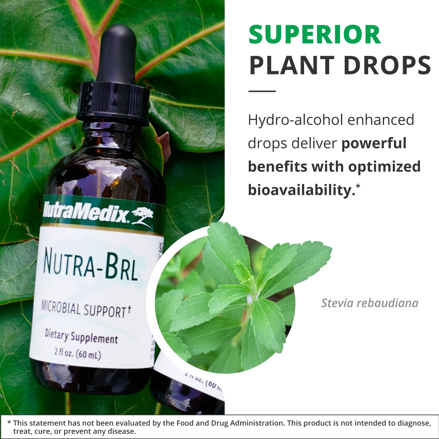 Compatibility with gut health and digestive products