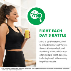 Illustration of Yarrow flowers used in Mora Yarrow Extract